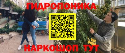 spice Дмитров