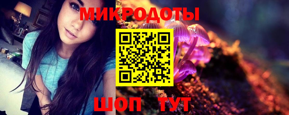 Галлюциногенные грибы Psilocybine cubensis  Вход с VPN  Димитровград 
